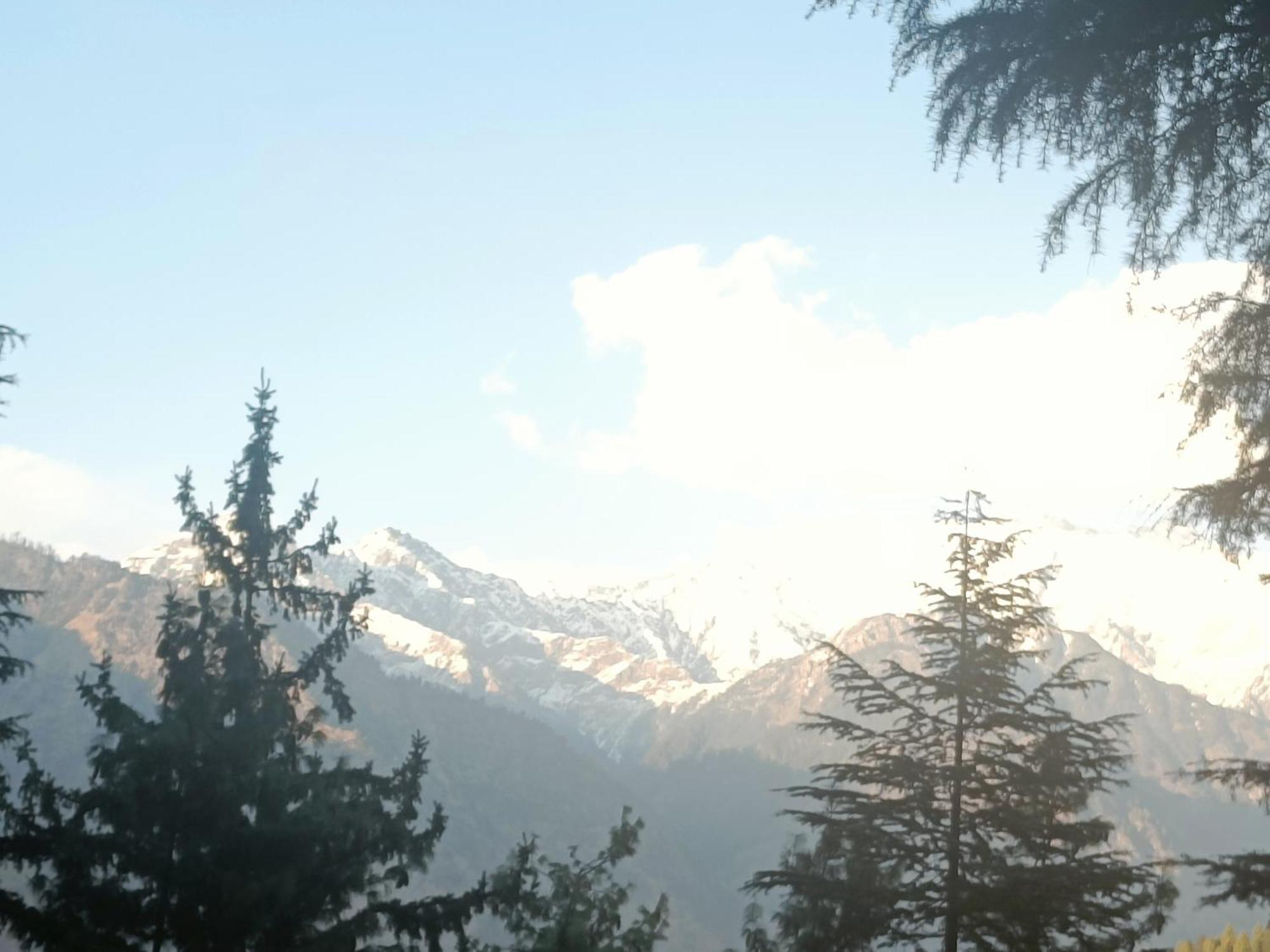 Trimounts-A Boutique Hotel & Wellnes Center In Tirthan Valley Banjar Exterior photo